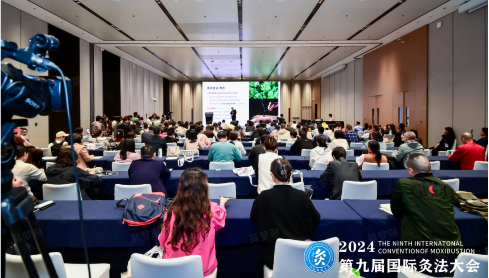 第九届国际灸法大会：31会议数字化服务，为其保驾护航！